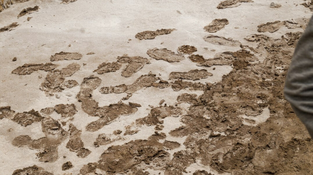 footprints in mud after rain